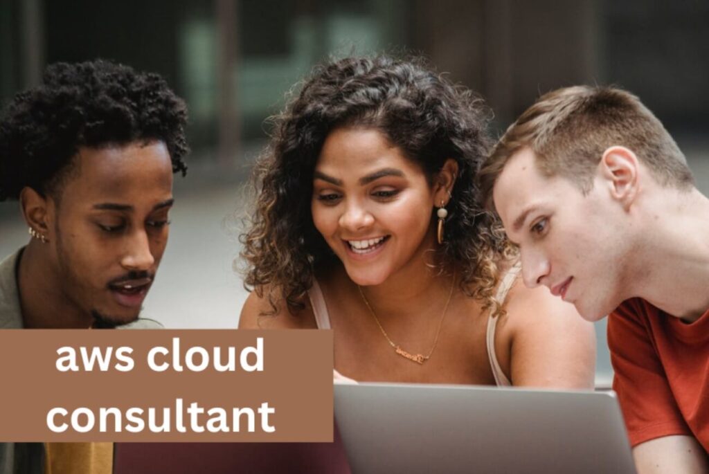 AWS CLOUD TECHNOLOGY CONSULTANT PROFESSIONAL CERTIFICATE