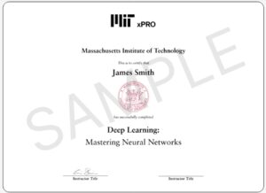 MIT PROFESSIONAL CERTIFICATE IN DEEP LEARNING