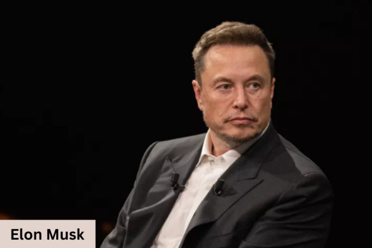 Elon Musk, CEO of Tesla